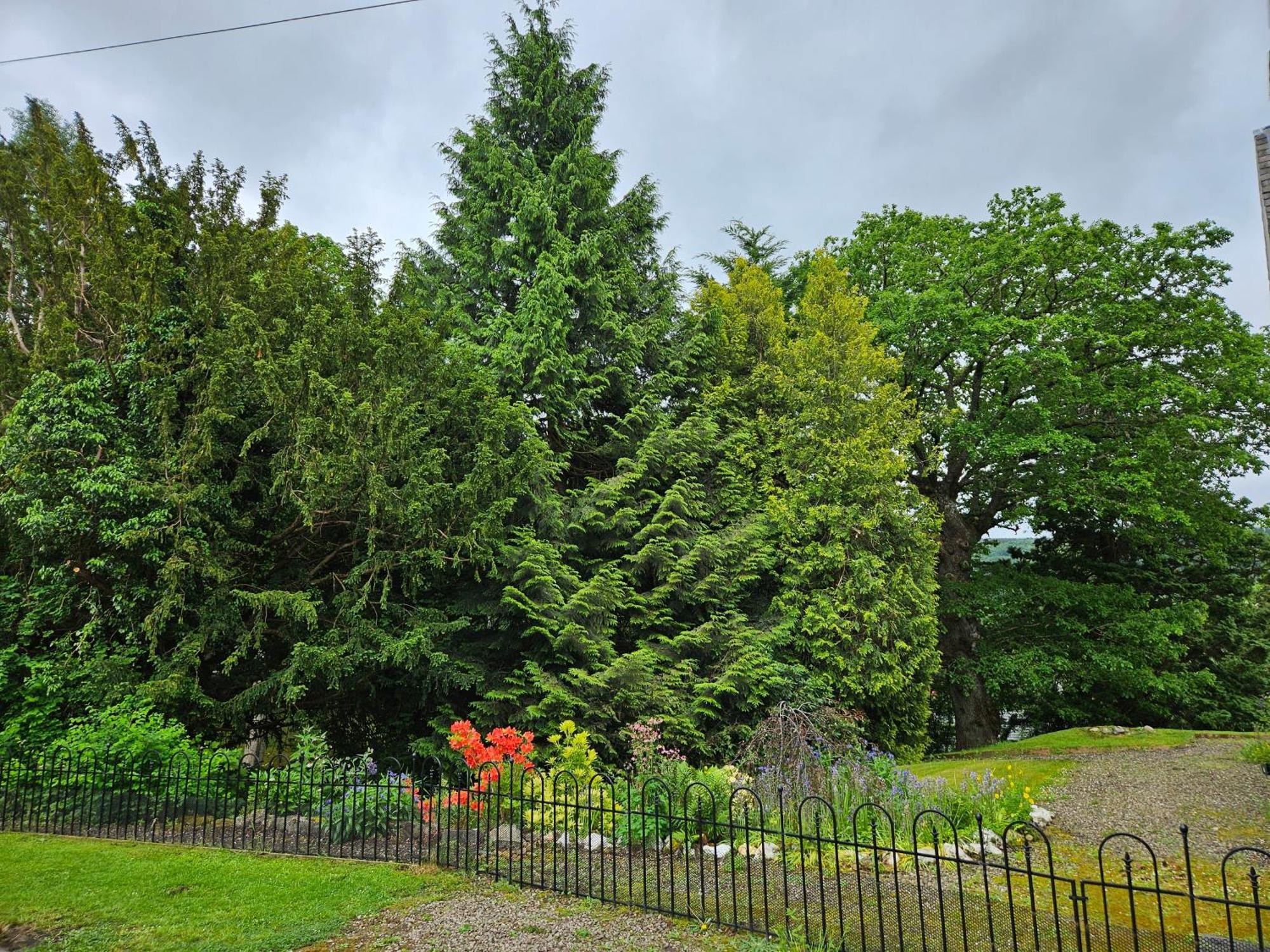Cosy Peaceful One-Bedroom Cottage In Pitlochry Exterior photo